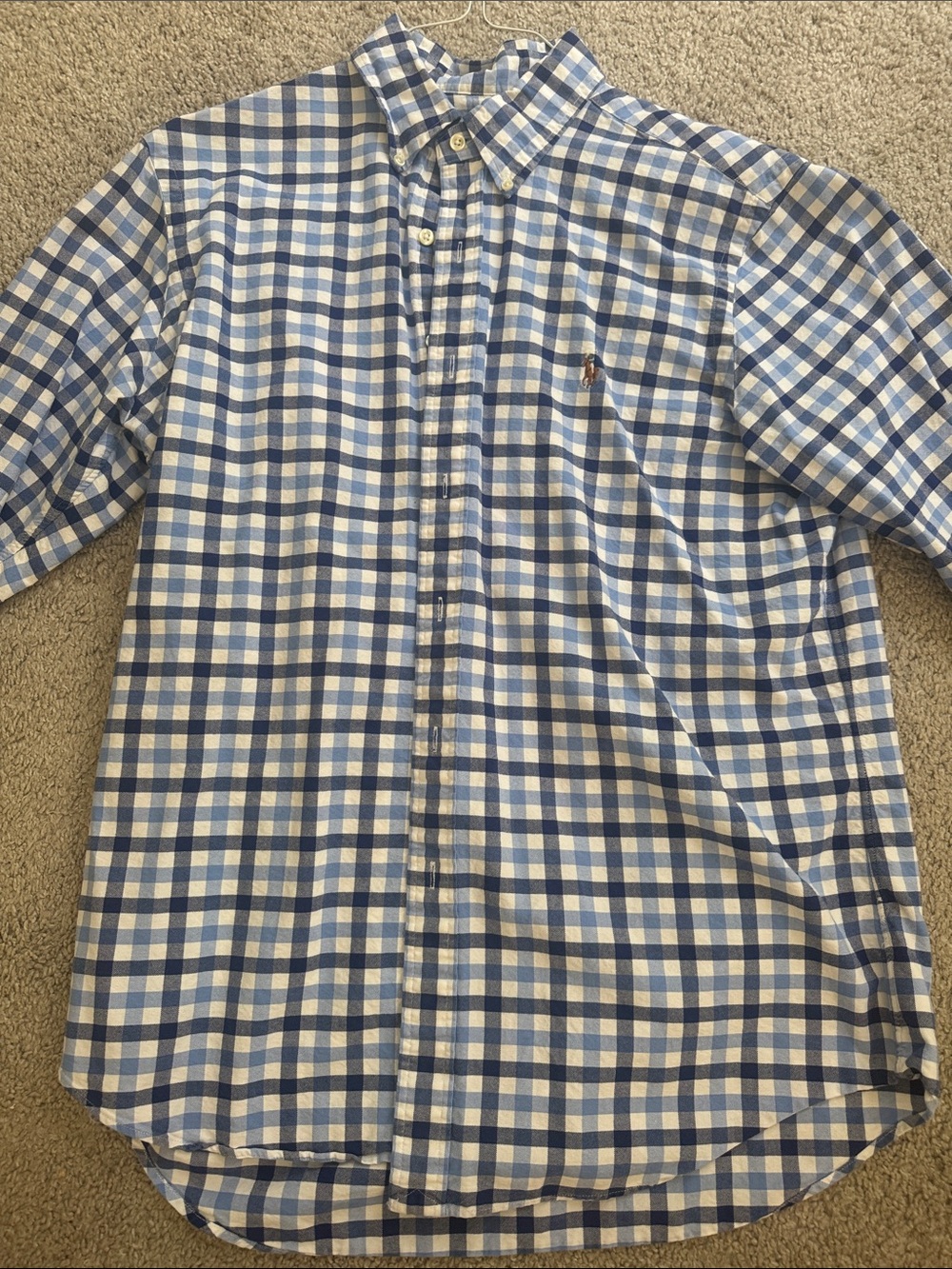 Polo by Ralph Lauren Blue and White Gingham Button-Down Shirt